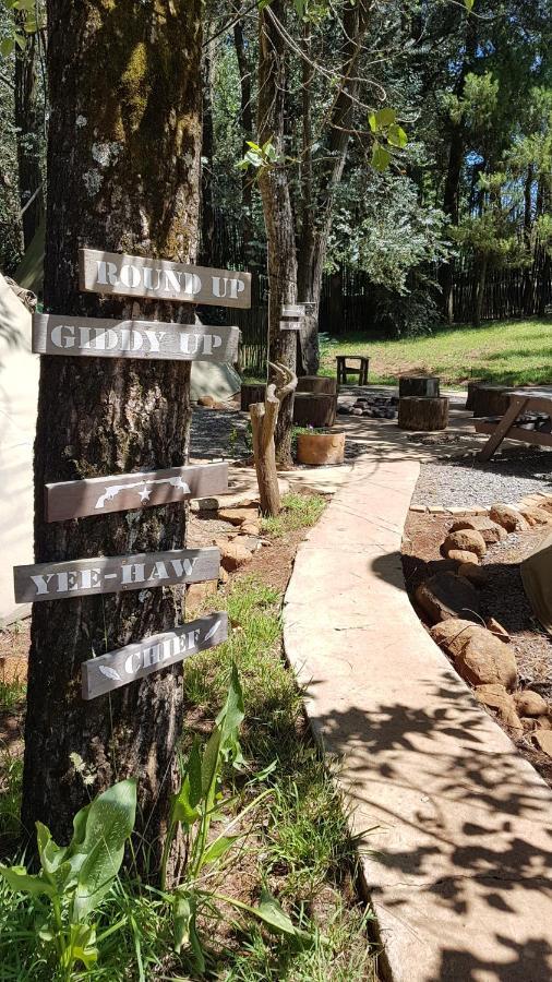 Nguni Moon Tepee Camp Hotel Underberg Eksteriør billede
