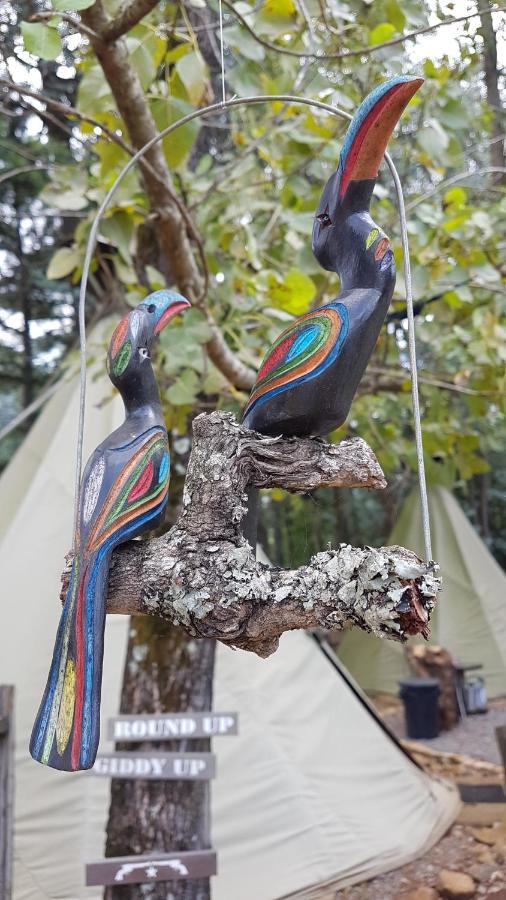 Nguni Moon Tepee Camp Hotel Underberg Eksteriør billede